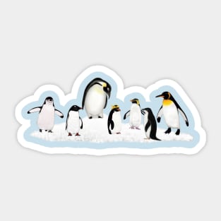 Antarctic Penguins Sticker